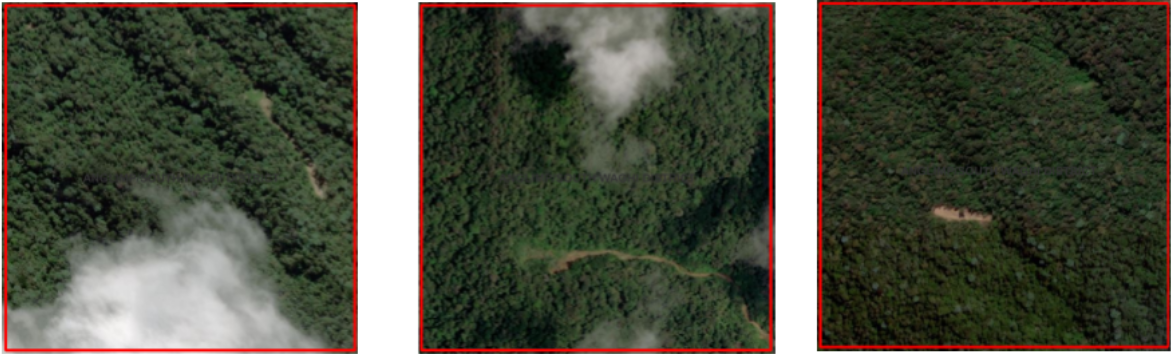Three satellite imagery tiles.